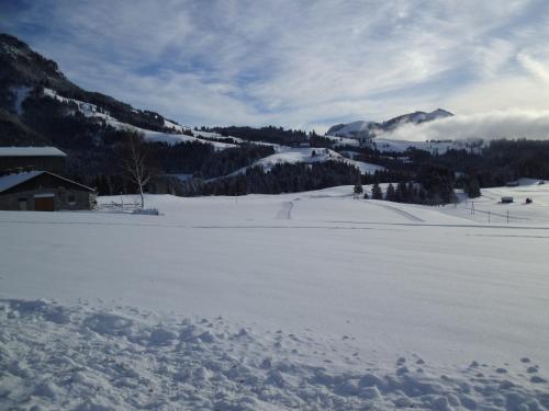 Weideblick Weideblick