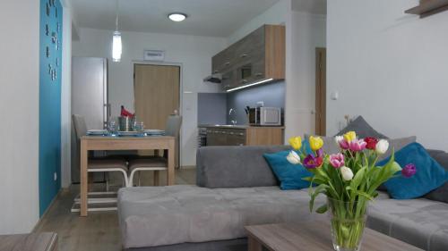 Všemina Apartman - Apartment - Lužkovice