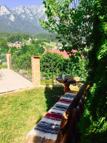 Casa De Vacanta Elena in Poiana Tapului