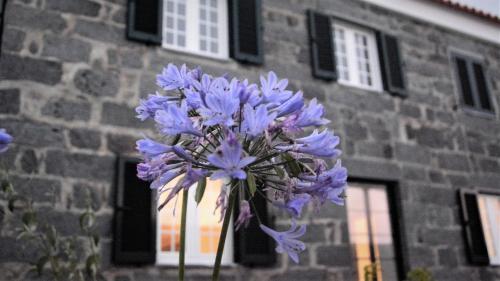  BELO CAMPO - Ilha do Faial (Horta), Pension in Castelo Branco bei Varadouro