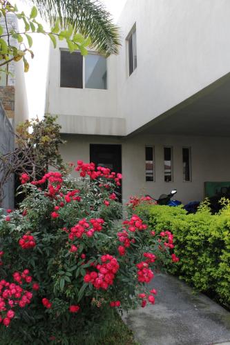 Consulado Suites in Santa Catarina (Nuevo Leon)