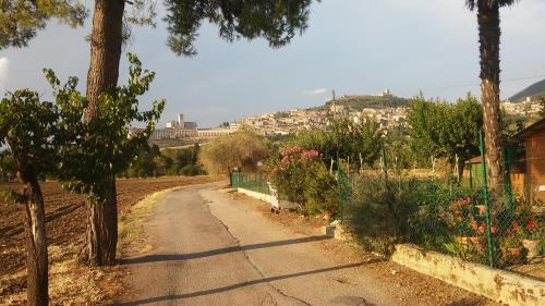 camere Rosignoli Assisi