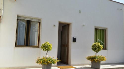 La Casa Dei Nonni - image 8