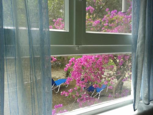 전망, Villa Galinotis in 마라티아스 (포키스)