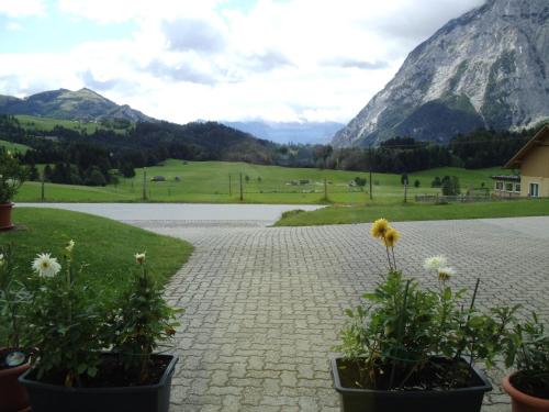 Weideblick Weideblick