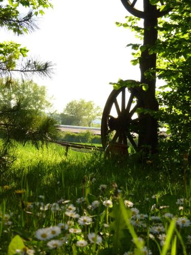 Pension Grünes Herz