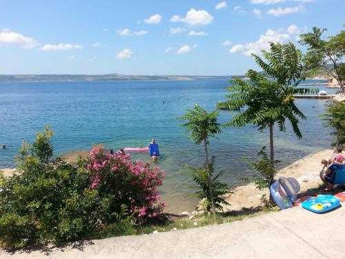 Apartments Camelia Apartments Camelia