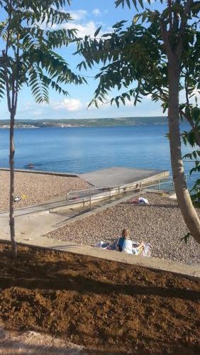 Apartments Camelia Apartments Camelia