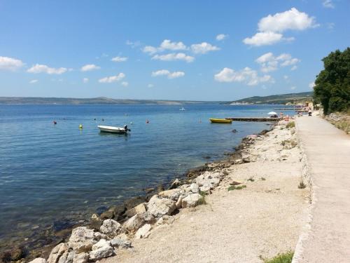 Apartments Camelia Apartments Camelia