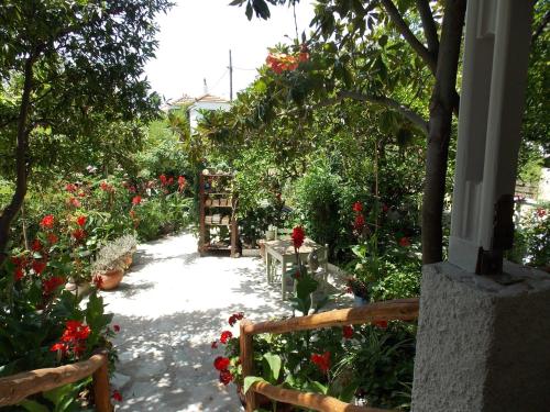  Stamatia's Garden, Pension in Agnontas
