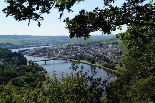 Surrounding environment, Gastehaus Am Rebenhang in Mehring (Trier-Saarburg)