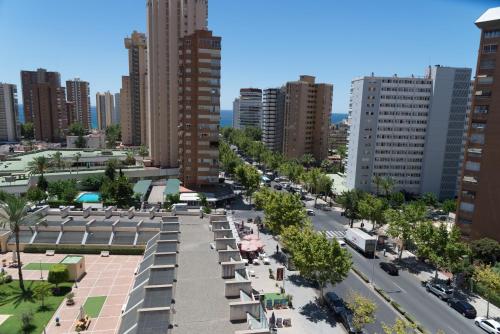 Gemelos 20 - Beninter - image 13