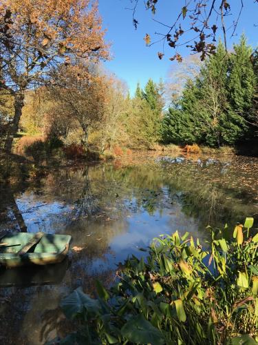 Au domaine de l'Etang - Chambres chez l'habitant chambre d'hôte Lisacq