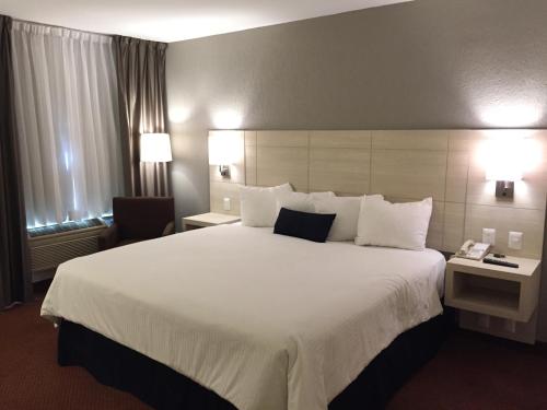 Casa Grande Delicias Room Type - King Room
