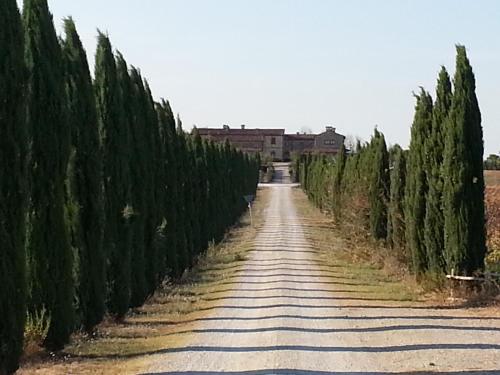 Borgo Beccanella - Asciano