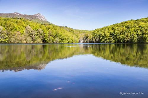 Hostal l'Avet Blau - Accommodation - Santa Fe de Montseny