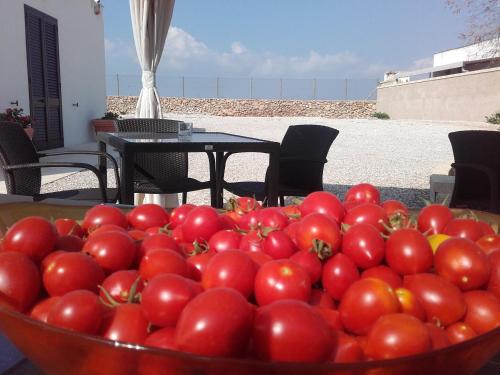 Masseria Centro Colonico B&B – Torre San Giovanni, OK