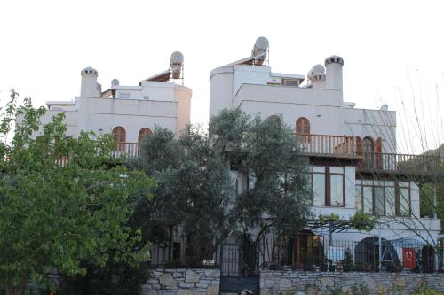  Mars Villas Apart Hotel in Bodrum