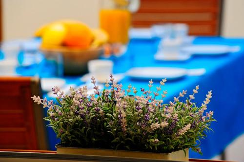 Luxury Apartment Dvor