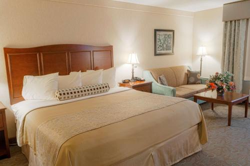 1 king bed, 1 sofa bed