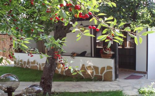 Hotel Bela Neda - image 11