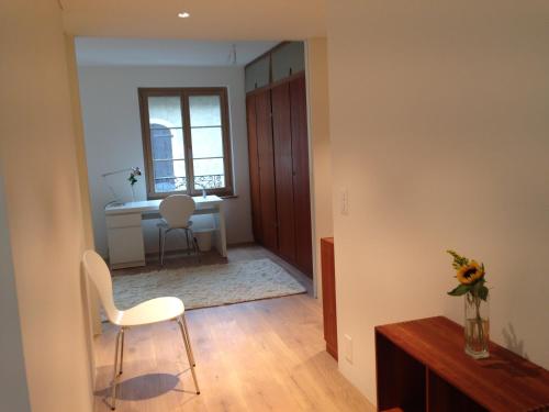 Carouge Loft Apartment, Ženeva (fotografie 10)