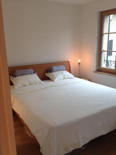 Carouge Loft Apartment, Ženeva (fotografie 6)