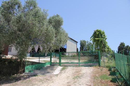 Eingang, Guesthouse AzA&Karlen in New Athos