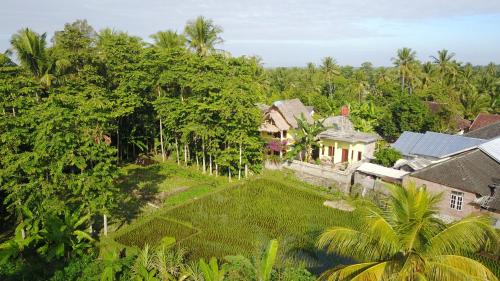 Kembang Kuning Cottages