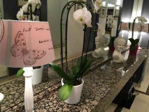 First Euroflat Hotel - image 2