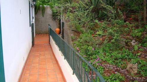 Apartamento Charmoso no Funchal, com grande Jardim e Vista Esplêndida