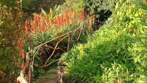 Apartamento Charmoso no Funchal, com grande Jardim e Vista Esplêndida