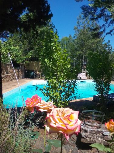 Cortijo El Berrocal - Ahillones
