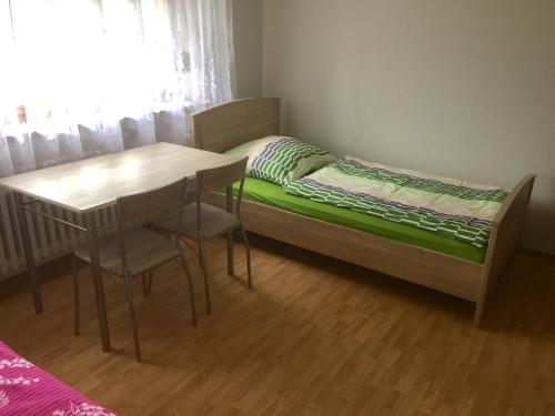 Mainzimmer Business Appartment - Monteurwohnung mit Burgblick