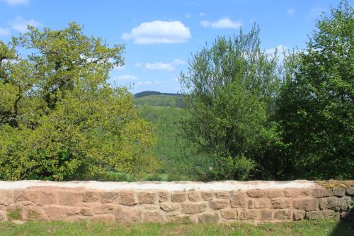 High View Barn - image 14