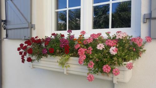 B&B Villa Blanche - image 6