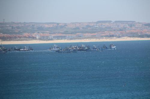  Girassol House in Peniche