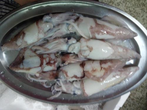 Hostal Miguel - image 11