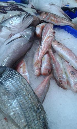 Hostal Miguel - image 6