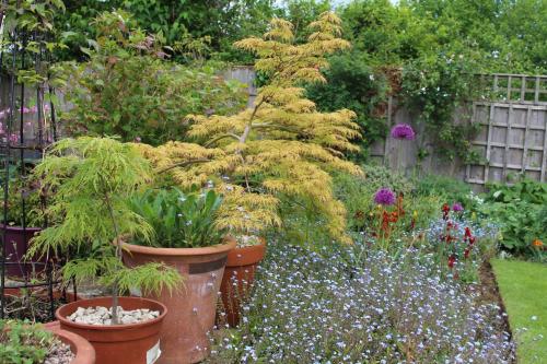 Laurels Guesthouse BnB Spelsbury
