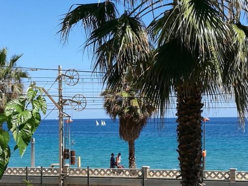Közeli látványosságok, Vilamarlux II in Vilassar de Mar