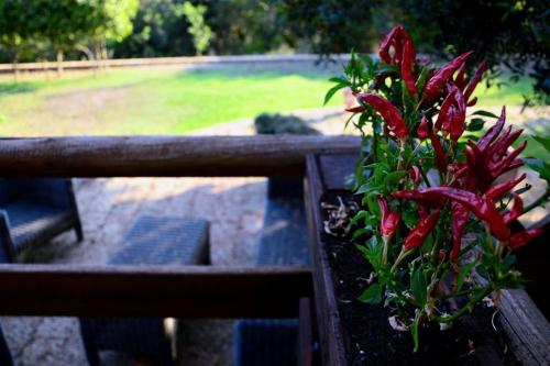 SarAnd Relais Farmhouse Fondi