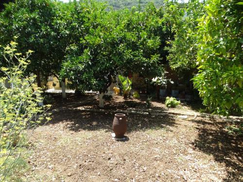  The Grapevine Rooms in 28082 Póros