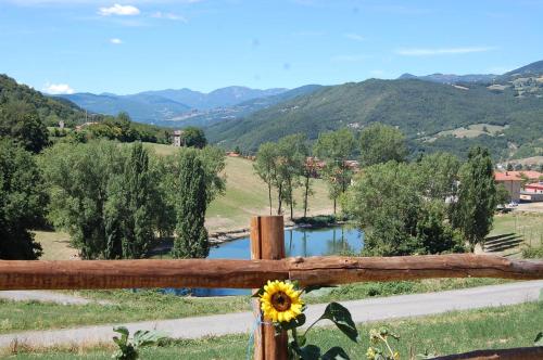 Appartamenti Cenni - Relais su Lago