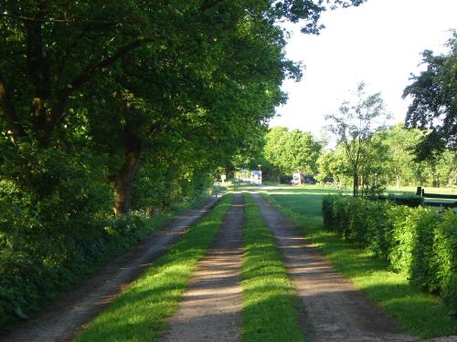 Bed en Breakfast De Boksloot - image 10