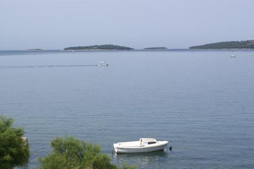 Apartment Brodarica 4194d