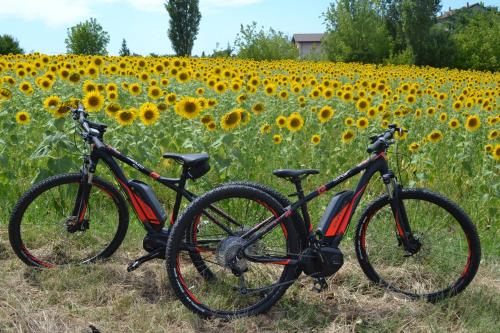 Sport és szabadidő, Cascina Trapella in Casale Monferrato