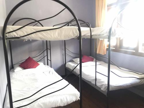 R&R BUDGET INN Cameron Highlands