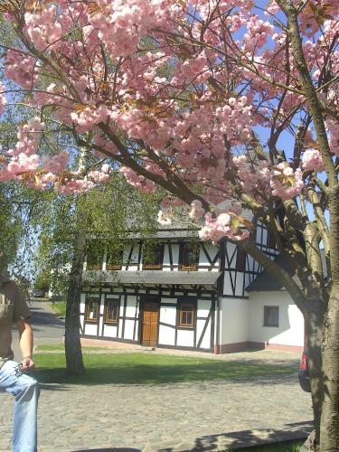 Ferienhaus Schmitt in Beltheim