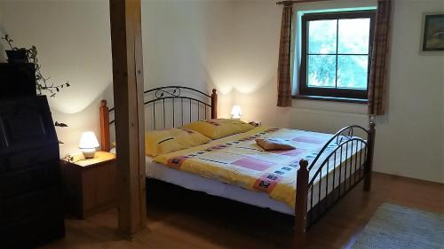 Olšina - main image